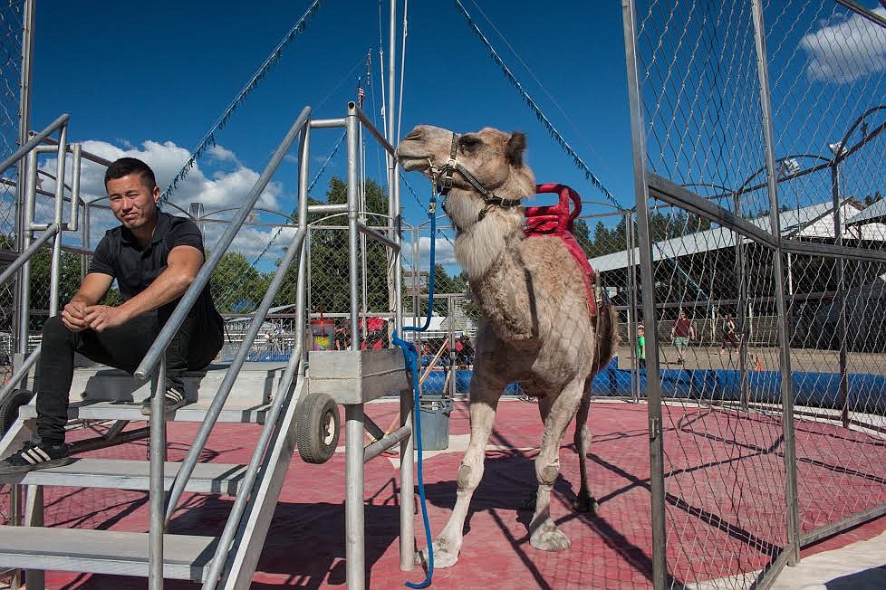 Photo by Mandi Bateman
Bekbolsun Kozugulov, who has been performing with the Jordan Wold Circus since 2009, poses with Shiek, the camel.