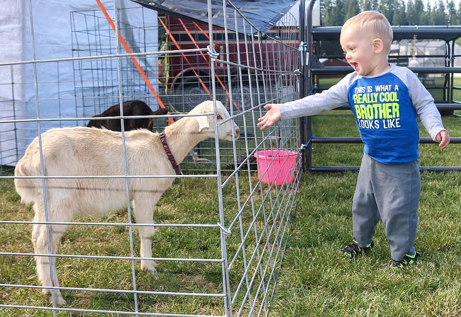 Photo by Mandi Bateman
Hayden Dinning gets a behind-the-scenes tour of the animals of the Culpepper &amp; Merriweather Circus.