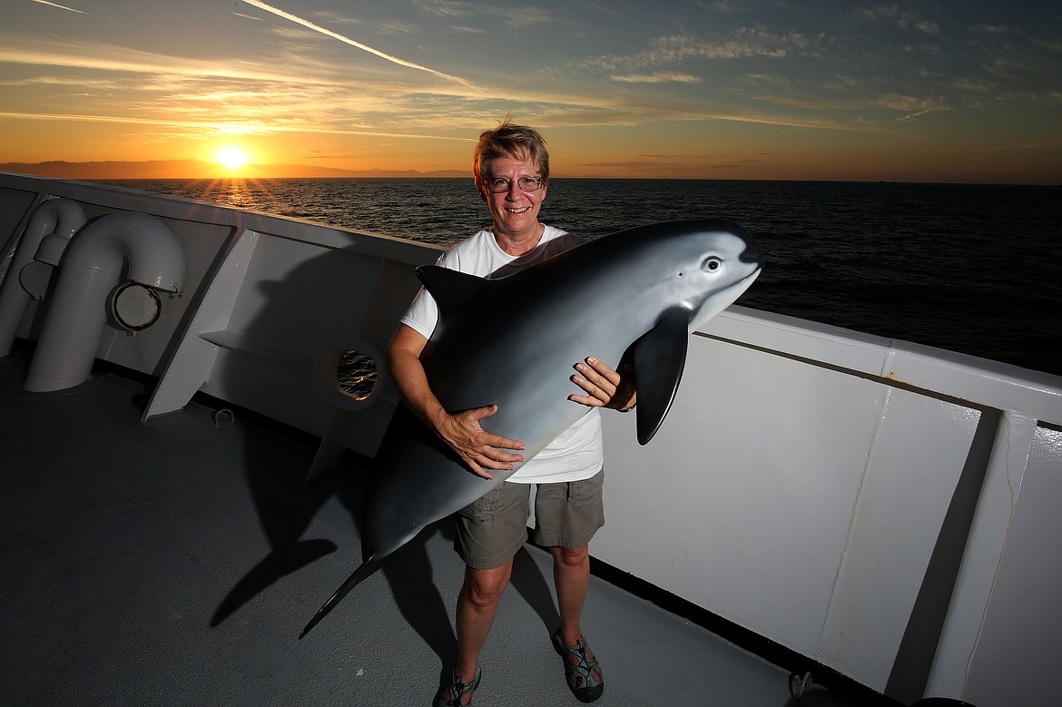 Dr. Barbara Taylor, a 1973 Flathead High School graduate, poses with a life-sized sculpture of the endangered vaquita, the smallest porpoise whose numbers have dwindled to less than 30. Taylor has been researching marine mammals for over 30 years and is on the front line of efforts to save the vaquita. (Photo by Todd Pusser)