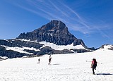 Glacier adds two new webcams at Logan Pass