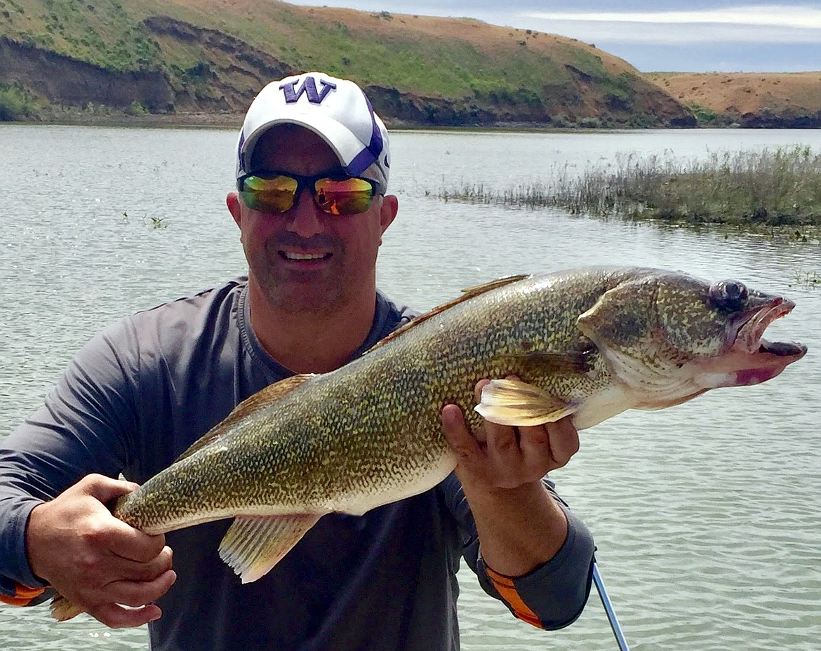 Courtesy photo - Paul Yerkes was trolling in the Lind Coulee when he caught this big 7.20 pound walleye. Paul was trolling a Smile Blade/Slow Death Hook combo.