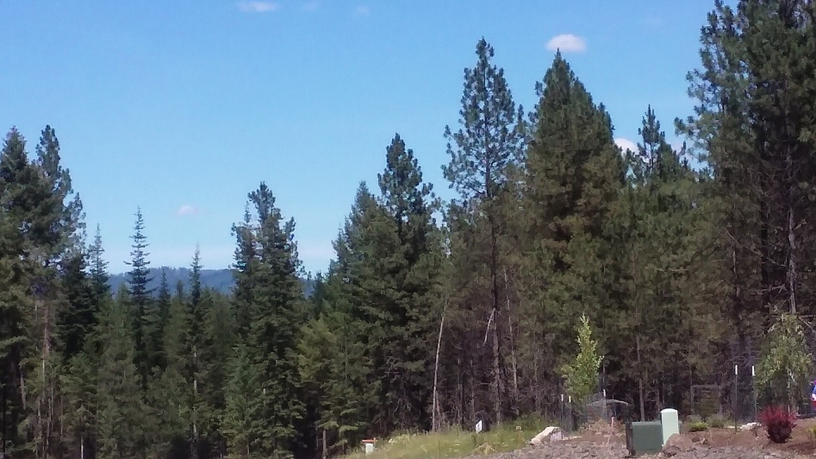 Photo by TYLER WILSON
Gorgeous mountain views are commonplace in Rimrock Meadows.