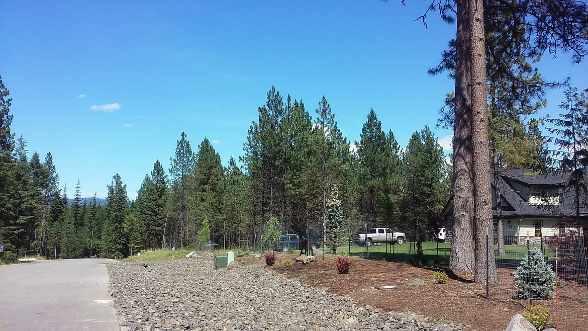 Photo by TYLER WILSON
Street view of a partially developed run of homes in Rimrock Meadows.