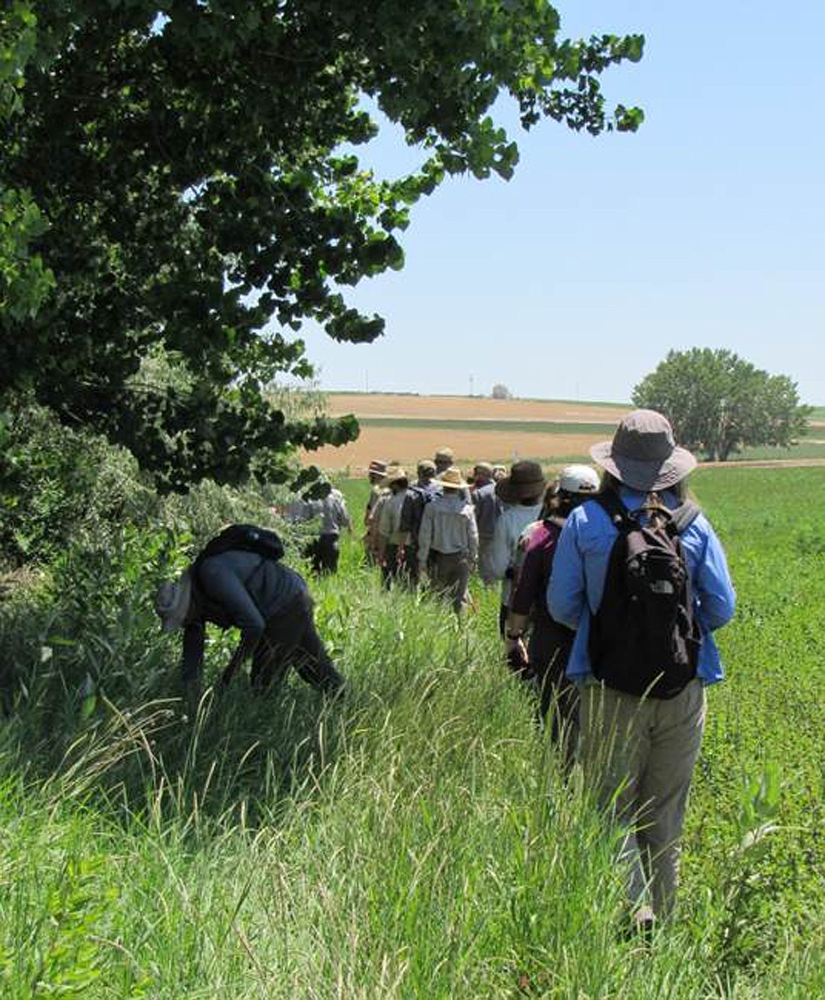 (Photo courtesy IDAHO DEPARTMENT OF FISH AND GAME)Participants in the 2016 Monarch Butterfly and Milkweed Conservation for Resource Managers workshop head to the field to observe monarch life stages.