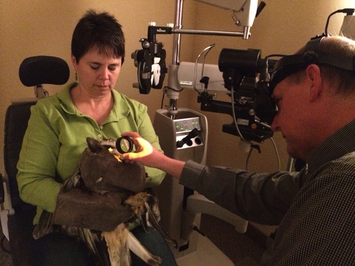 Hawkeye, a rough-legged hawk, sits with Kari Gabriel for an eye exam after&#160;her encounter with a vehicle that left her with one eye. Hawkeye was Gabriel&#146;s first education bird and makes appearances at different events and organizations to teach people about raptors. (Photo courtesy of Kari Gabriel)