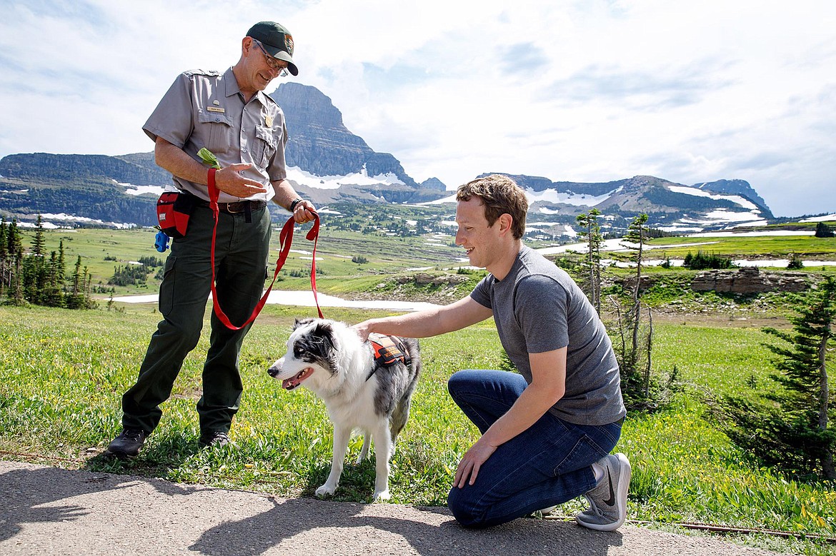 Mark Zuckerberg takes some time to get to know Gracie, Glacier National Park&#146;s &#147;bark ranger,&#148;&#160;a border collie who helps herd wildlife away from people at popular areas, such as Logan Pass.&#160;(Photo courtesy of Facebook)