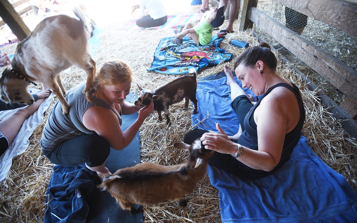 From left, Emily Lucas and Sara Smithson find themselves surrounded by baby goats during Goat Yoga on Sunday, June 25, at Flying Pig Farms north of Kalispell.(Brenda Ahearn/Daily Inter Lake)