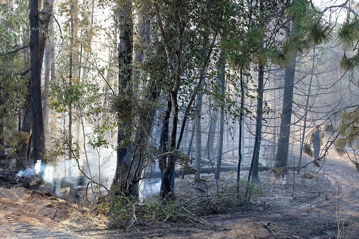 Photos by Chanse Watson.
An IDL firefighter walks through the smokey woods back to Highway 3 near Rose Lake.