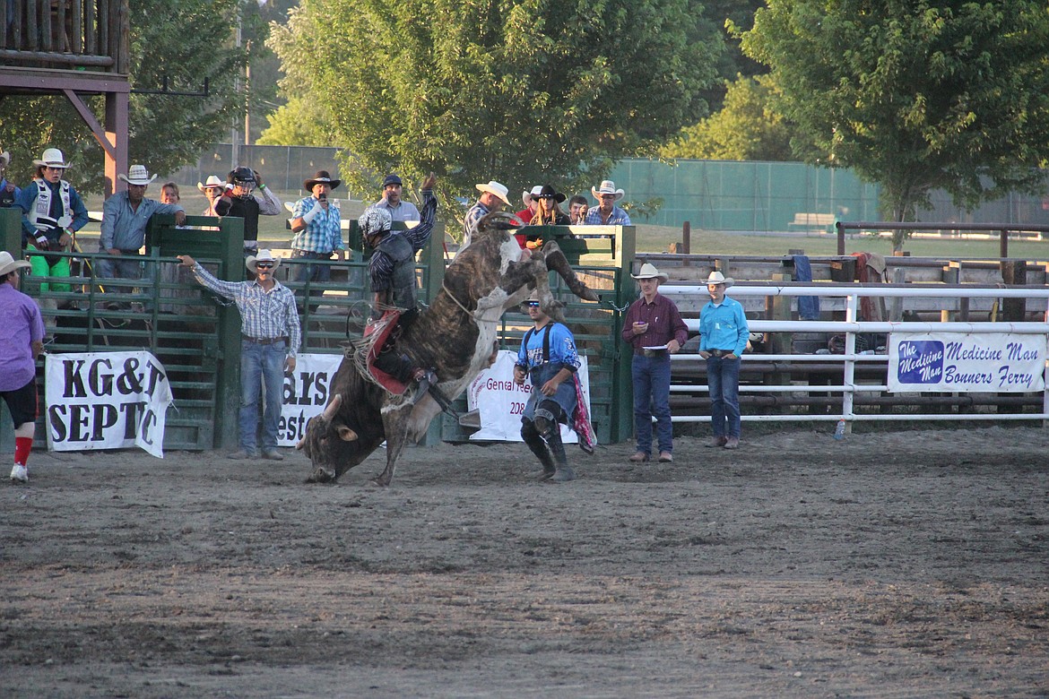 Mongo puts his nose in the dirt in an attempt to get rider Dylan Hofeek off his back.