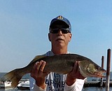 Fresh News report form MarDon Resort