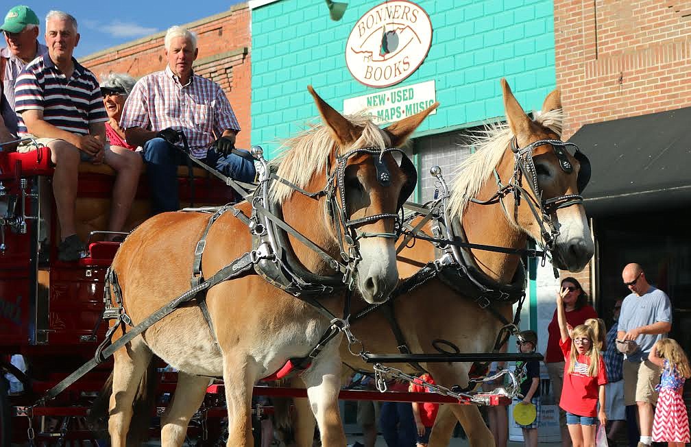 Photo by Mandi Bateman
Belgian Mule team was a favorite of the children during the parade.