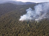 Two fires burning in Priest Lake district
