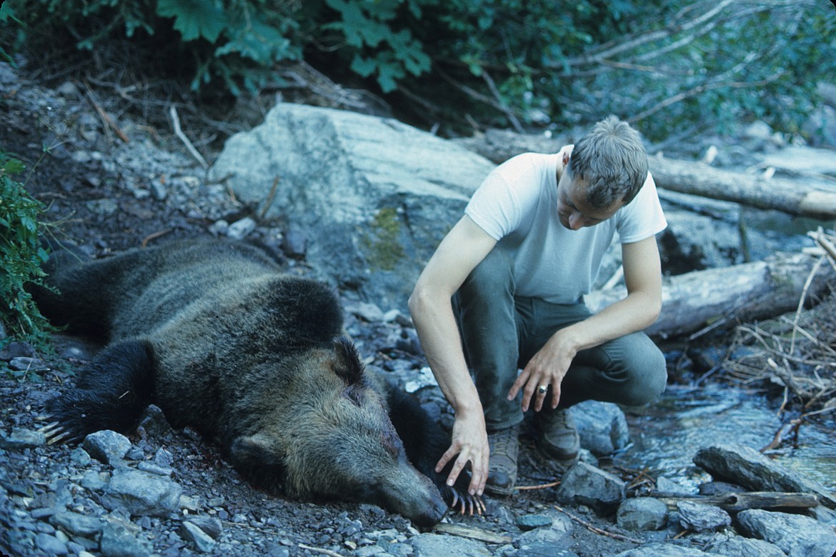 Glacier Park ranger Leonard Landa inspects a grizzly bear shot near Arrow Lake in Glacier National Park in August of 1967. (Courtesy of Bert Gildart)