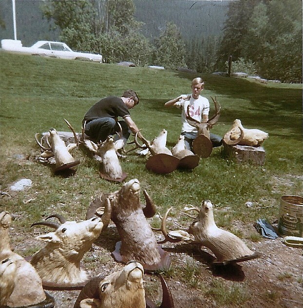 LEFT: Don Julian and Bob Falkner clean wildlife mounts at Lake McDonald Lodge in 1969 in preparation for the summer season. Right: Bartenders Bill Mitchell, Josh Heineman and Stephen Griffin pose for a photo at the lodge in 1969.