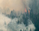 Stage II fire restrictions now in place