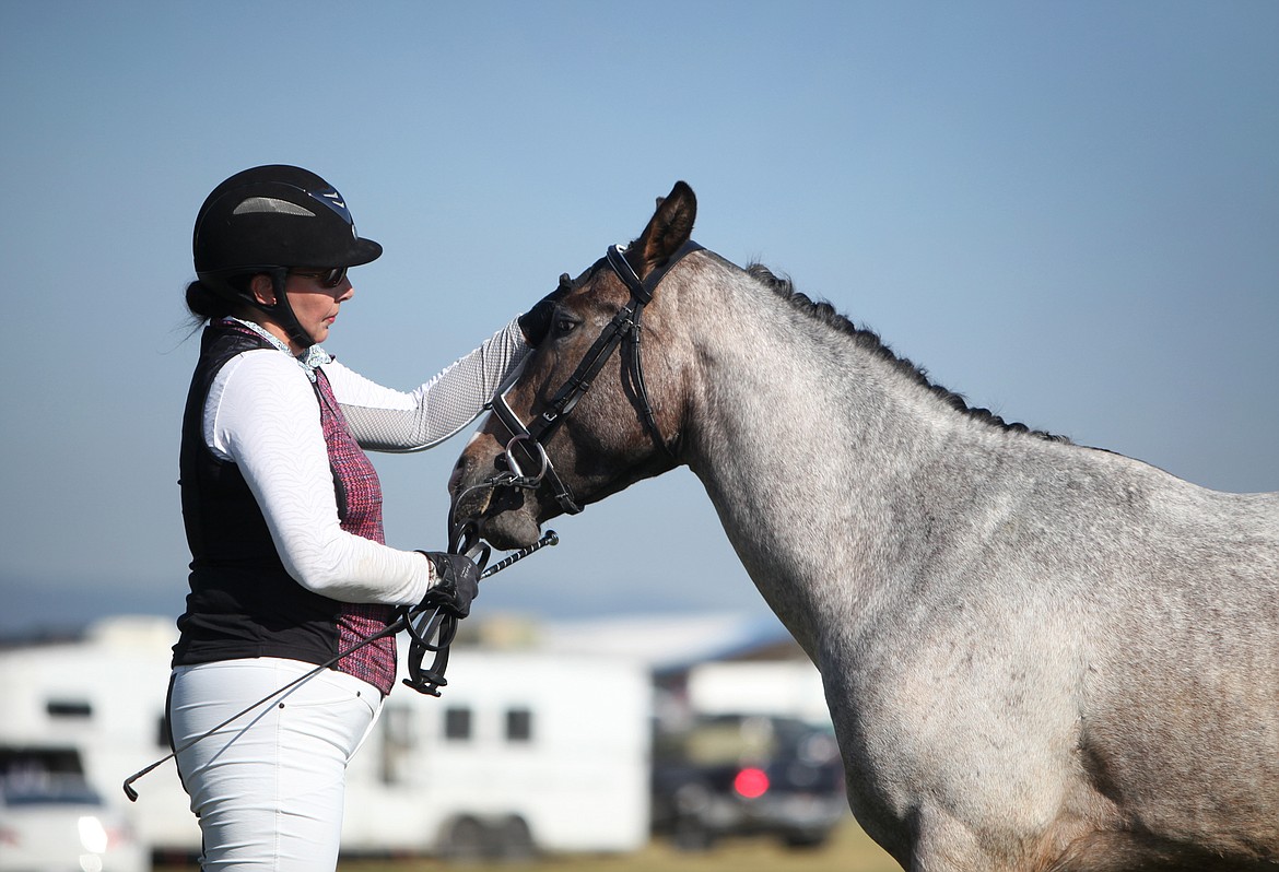 Michelle Donaldson gives her horse, Twisted Oliver a reassuring pat while judges examine his conformation and balance during the future event horse class.