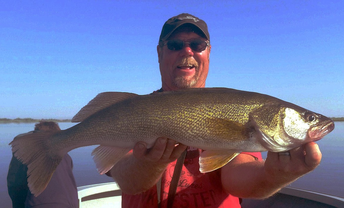 Pete Fisher photo - Shelby Ross of Ross Outdoor Adventures with a nice walleye caught on one of his guided trips.