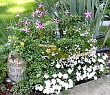 A gardener's work is never done