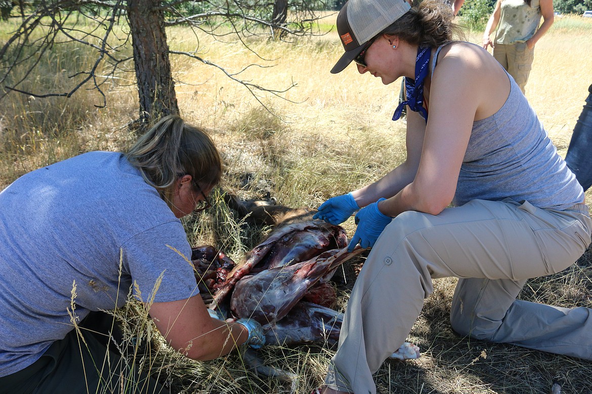 (Photo by MANDI BATEMAN)
The best way to learn is to get your hands in it.