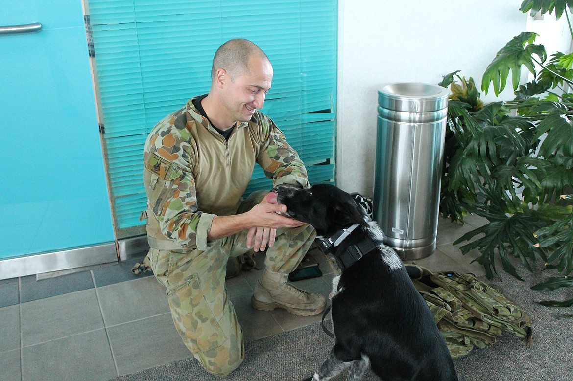 Charles H. Featherstone/Columbia Basin Herald
Royal Australian Air Force Corporal Mark Douglas and his dog Banjo &#8211; trained to sniff out explosives &#8211; take a break after a long morning.