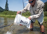 Rare grayling get a new home