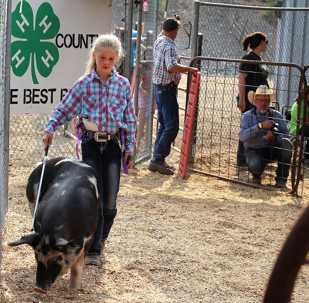 Heather Haskins leads her pig around the pen for the bidders on Saturday which got $10.00 lb. from John Hopkins from the Flying H Ranch. (Kathleen Woodford/Mineral Independent).