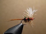 The 'Royal Coachman'