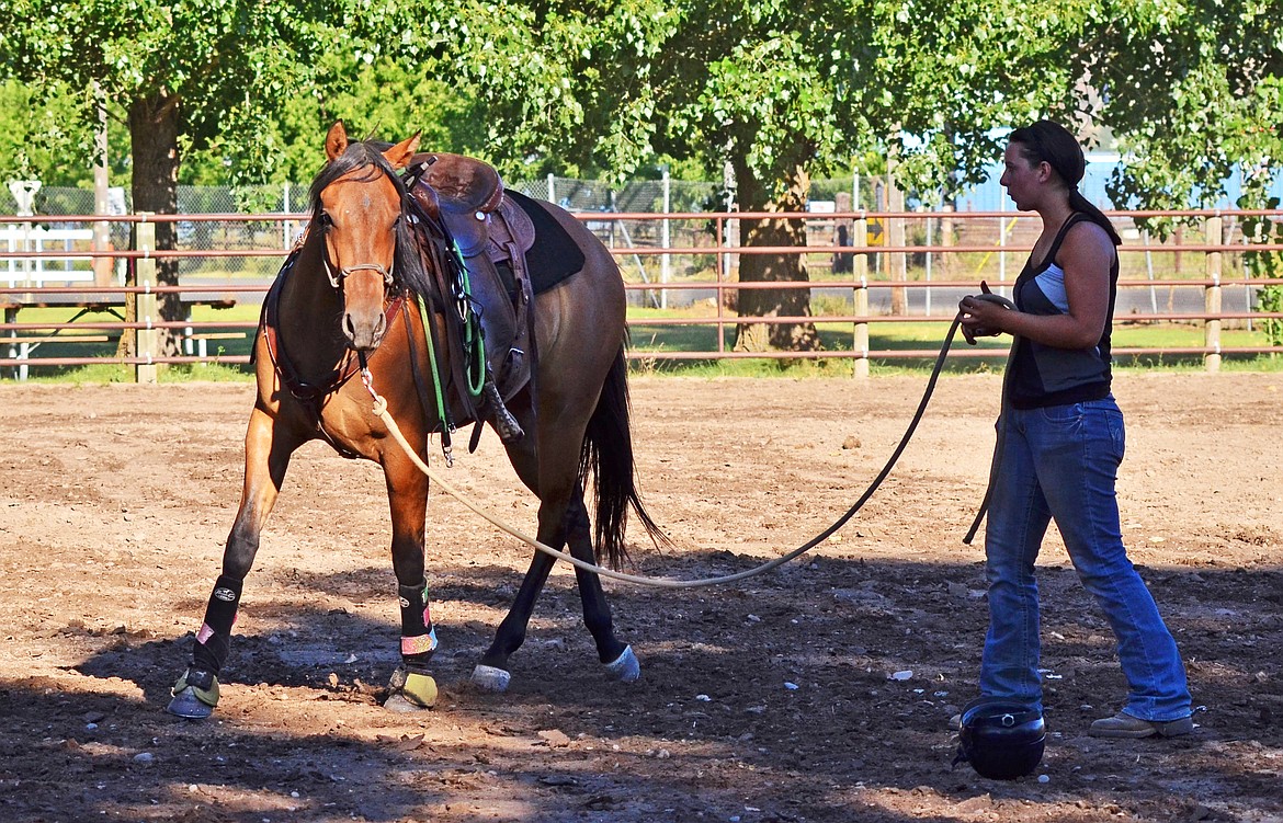 Marsada Sweet ground working her Green Horse project Reno before practice begins. (Erin Jusseaume/Clark Fork Valley Press)