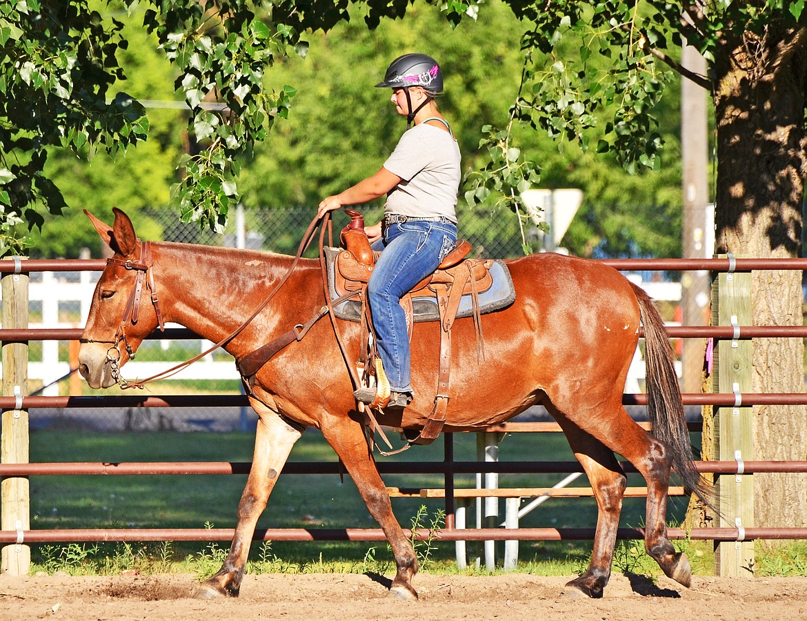 Deriyan Sheehan working her Green Horse Project Maisy Photo Credit Erin Jusseaume Clark Fork Valley Press