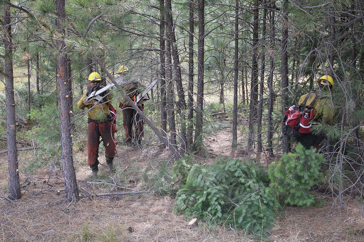 Hot Shot crews remove debris and cut branches to help fire fighing efforts near the Sunrise Fire burning east of Superior. (Kathleen Woodford/Mineral Independent).