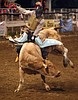 Tyler Bingham takes early lead in bull riding on Day 1 of rodeo