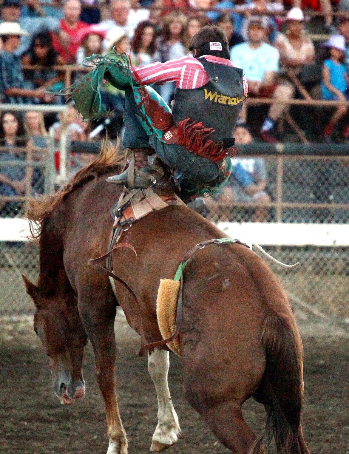 Rodney Harwood/Columbia Basin HeraldDenny Wyatt of Minden, Nev., is currently ranked No. 3 in the PRCA World standings. Wyatt rode Paradise Moon to a score 84 during Thursday night's bare back competition at the 74th annual Moses Lake Roundup.