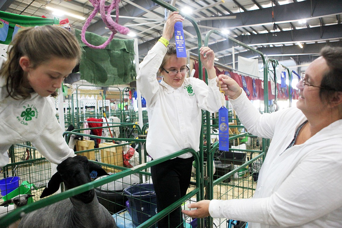 Jenessa Levanen, 13, hangs up a blue ribbon she won in a market lamb class with help from her mom, Karrie, at the Northwest Montana Fair. (Mackenzie Reiss/Daily Inter Lake)