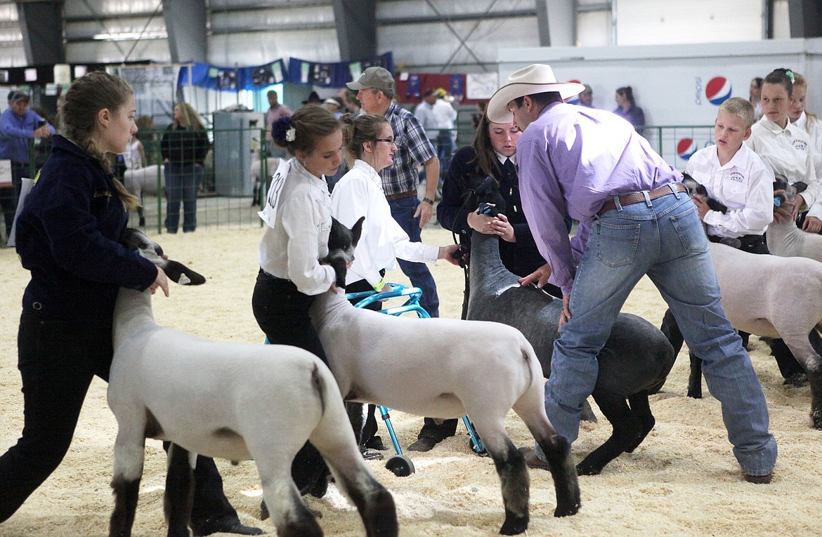 Jenessa Levanen, 13, answers questions about her lamb, Nutella, while friend Krystal Sutton, holds the animal in place. (Mackenzie Reiss/Daily Inter Lake)