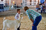 Getting the goat at the fair
