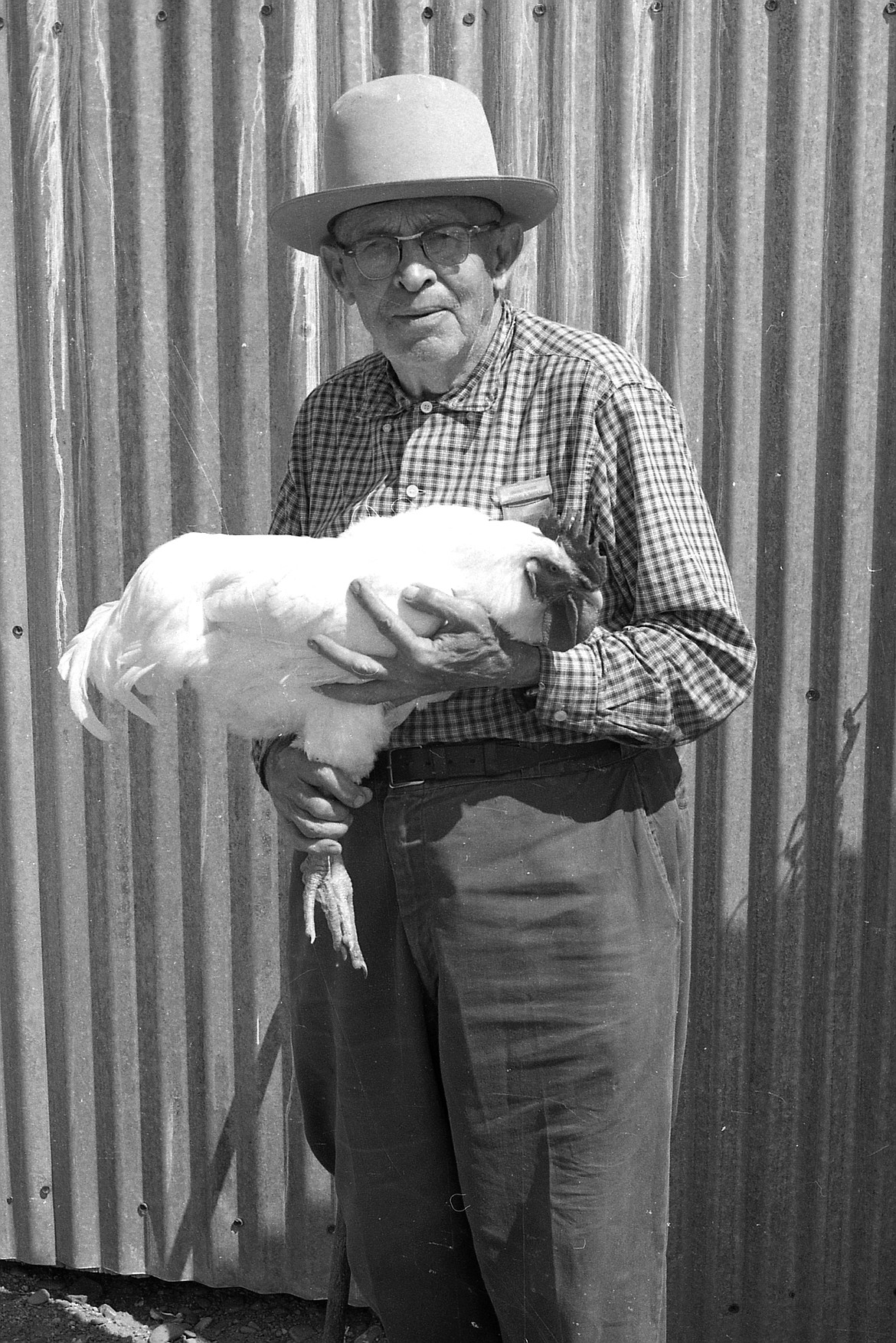 George Troxel, head of the poultry section in the 1967 fair, displays a fowl friend. Troxel had worked the fair for 16 years at that point.