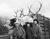 For packer Brash, the wilderness was home