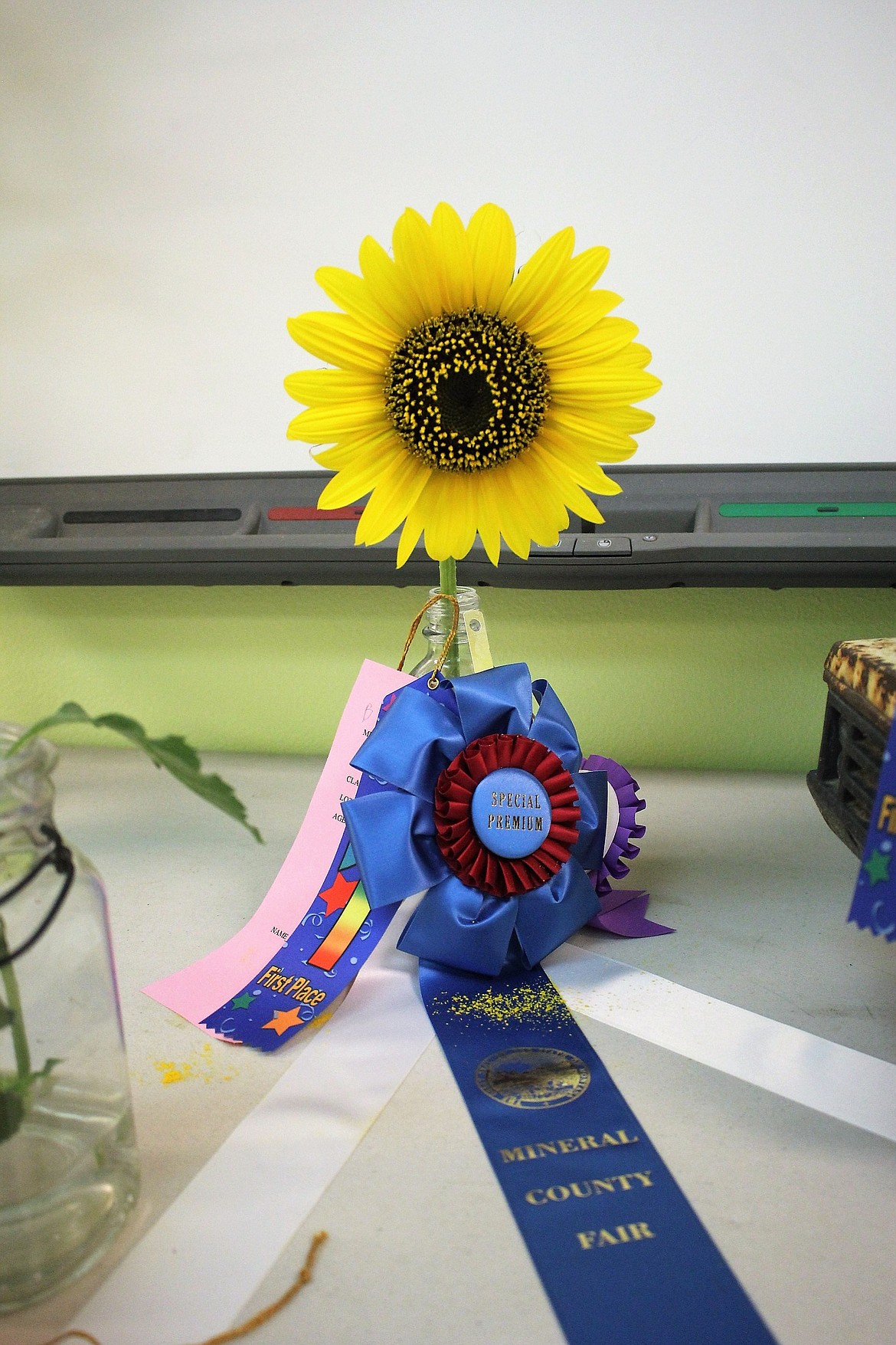 A sunflower won a special premium prize of $100 at the Mineral County Fair. (Kathleen Woodford/Mineral Independent)