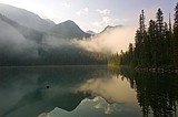 One way to preserve bull trout in Glacier is to move them