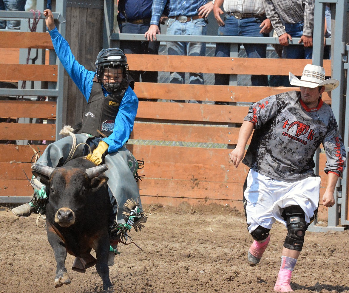 CARNELL SMITH rides a mini bull in the Sundays finals at the Pistol Creek Pioneer Days Rodeo. (Jason Blasco/Lake County Leader)