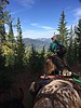A master's degree in elk science
