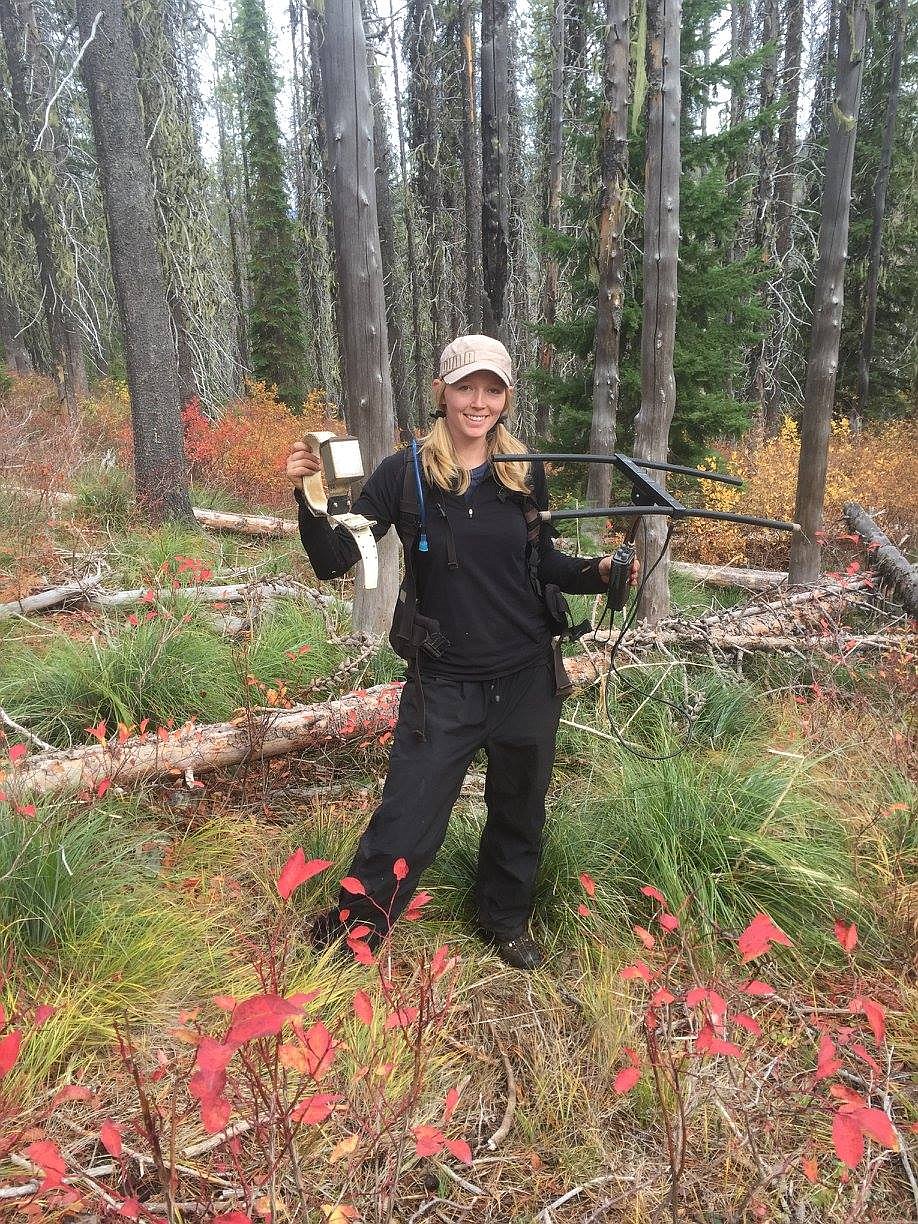 Courtesy photo 
Calla Hagle holds dropped elk collars that she placed earlier on cow elk in Idaho&#146;s Clearwater region as part of a elk study she completed for her master&#146;s degree.