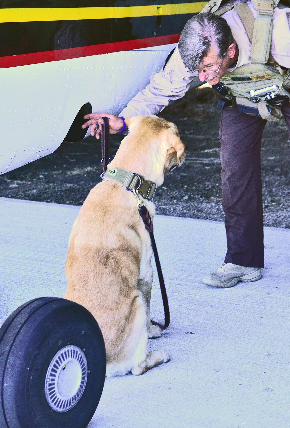 Handler Lynn confirming with K-9 Max the location to which he identified as holding the test narcotics. Photo Credit Erin Jusseaume Clark Fork Valley Press