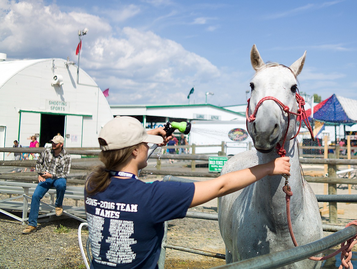 Kayla Seaman gives her horse Cody a shower at the Northwest Montana Fair last week.