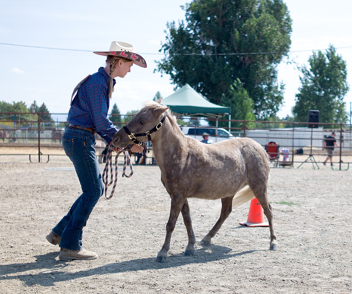 River Rapp runs her miniature horse through the obstacle course at the fair last week.