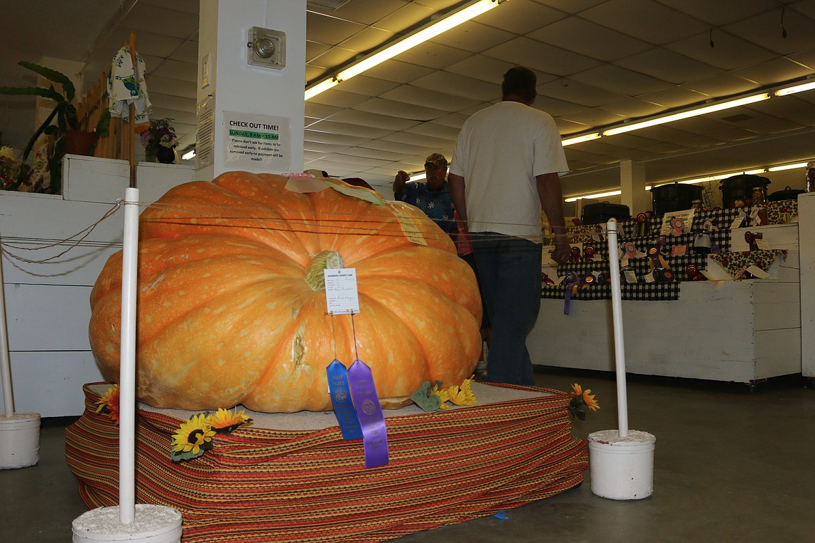 Photo by Mandi Bateman
Rick Maggi's award winning pumpkin was a showstopper.