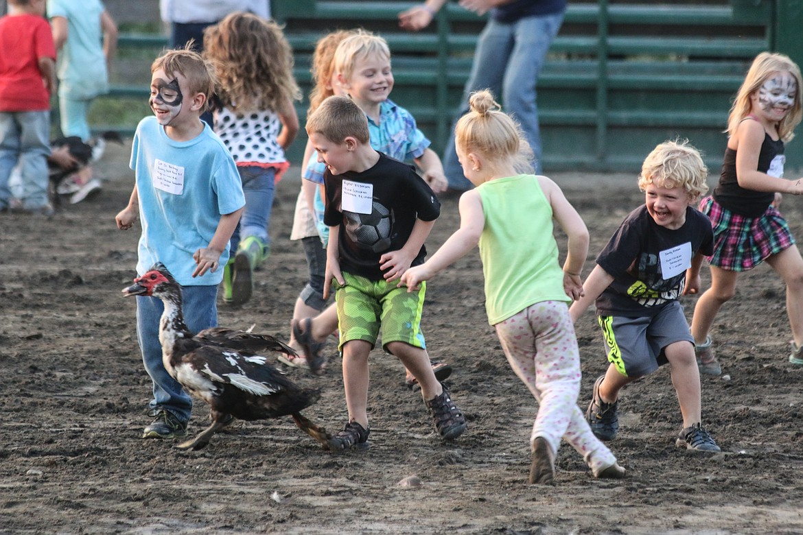 Photo by Mandi Bateman
Children scramble after the poultry on Family Fun Night at the Boundary County Fair.