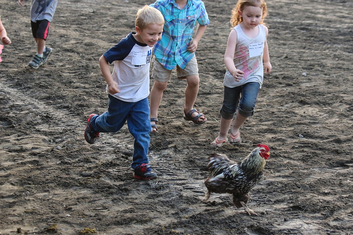 Setting their sights on the rooster, the children were in hot pursuit.