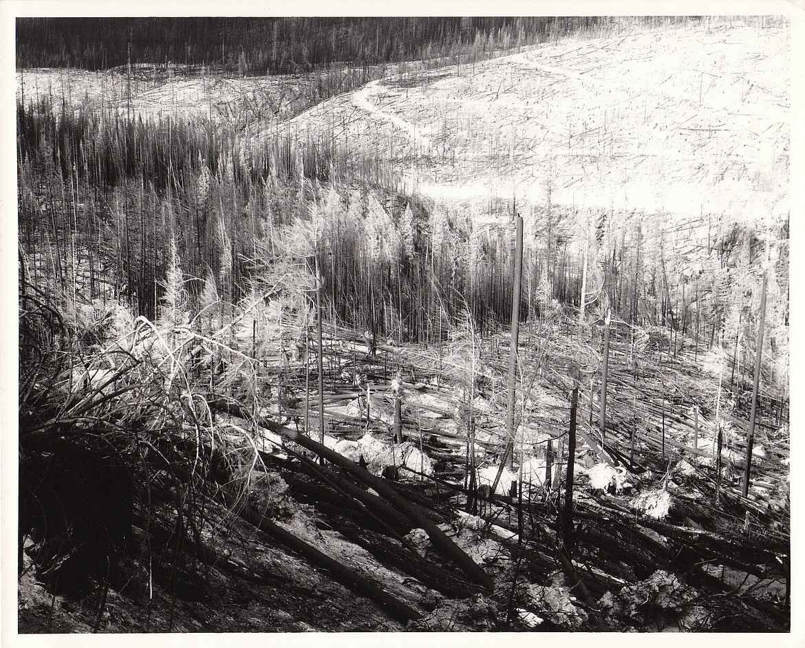 Courtesy Photo
Devastation after the burn.