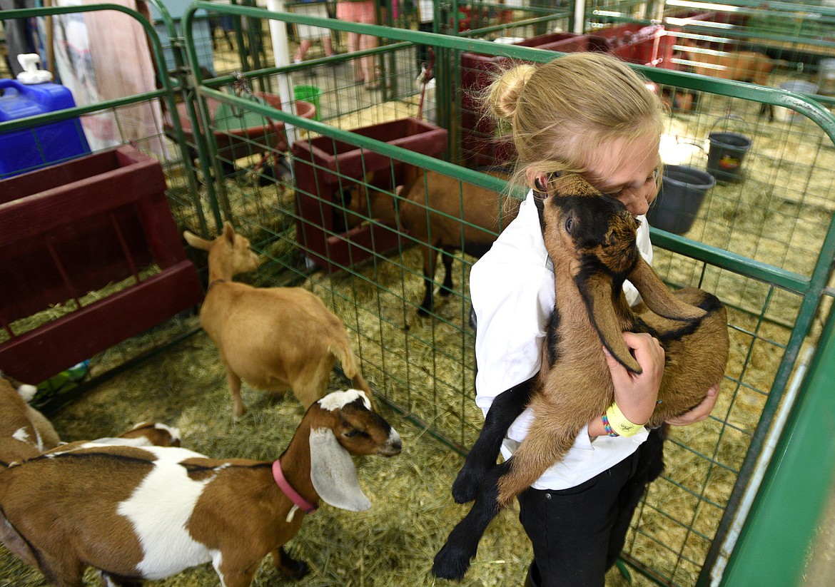 Haven Newton, 9, of the Half-Moon Highlanders laughs as a baby goat nibbles on her hair during the Northwest Montana Fair on Thursday. (Aaric Bryan/Daily Inter Lake)